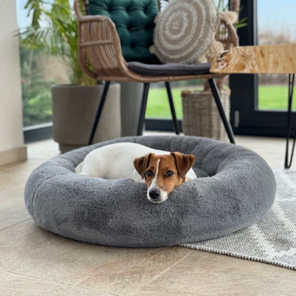 Legowisko dla psa z lękiem separacyjnym. Jak wybrać mądrze?