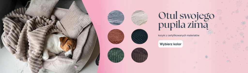 Małe rzeczy, wielka różnica – akcesoria, które Twój pies pokocha