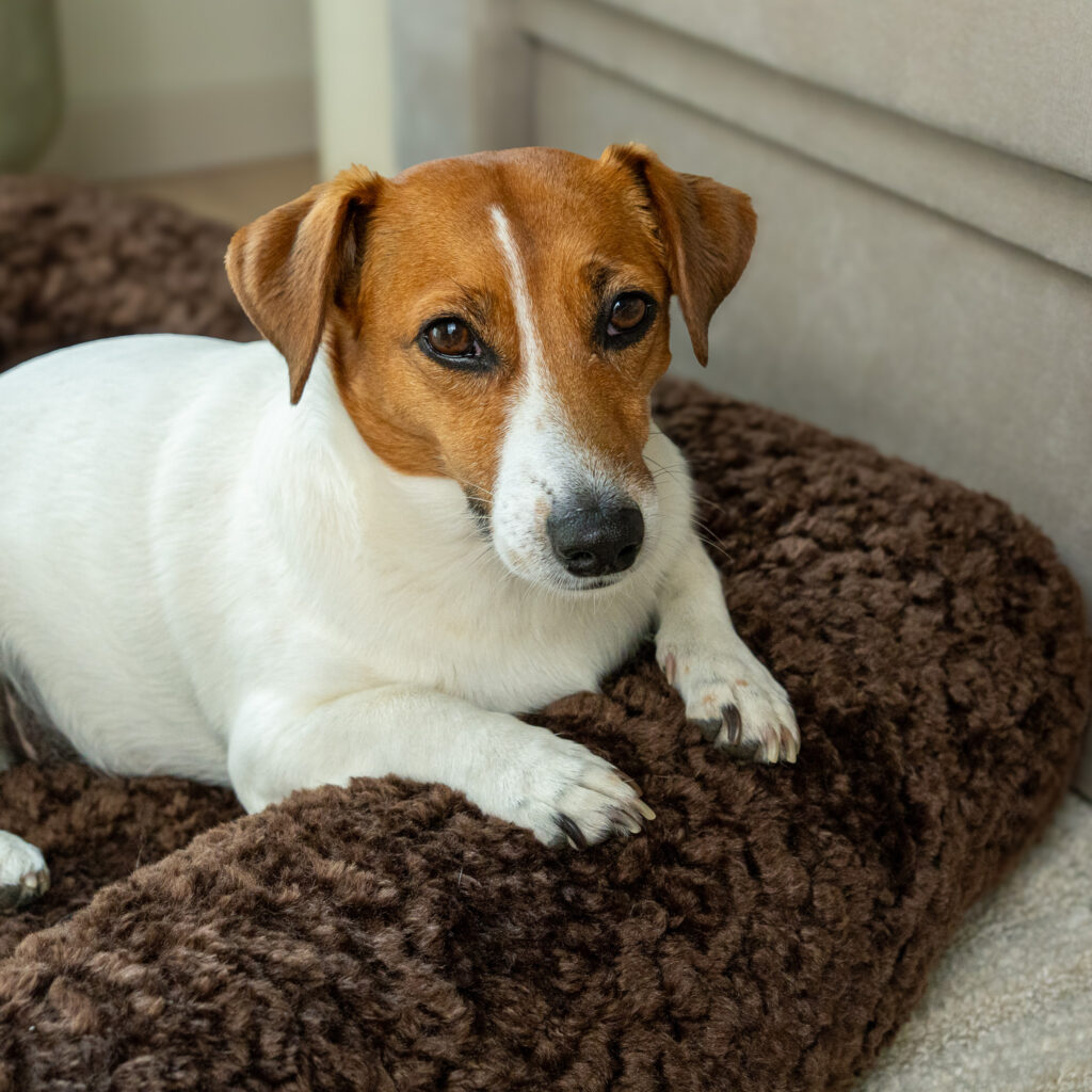 Placeholder - kliknij aby zmienić obrazek