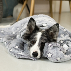 Kocyk Star w kolorze szarym dla psów małych