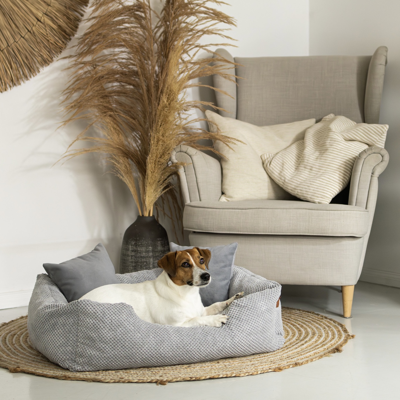 kanapy dla zwierząt