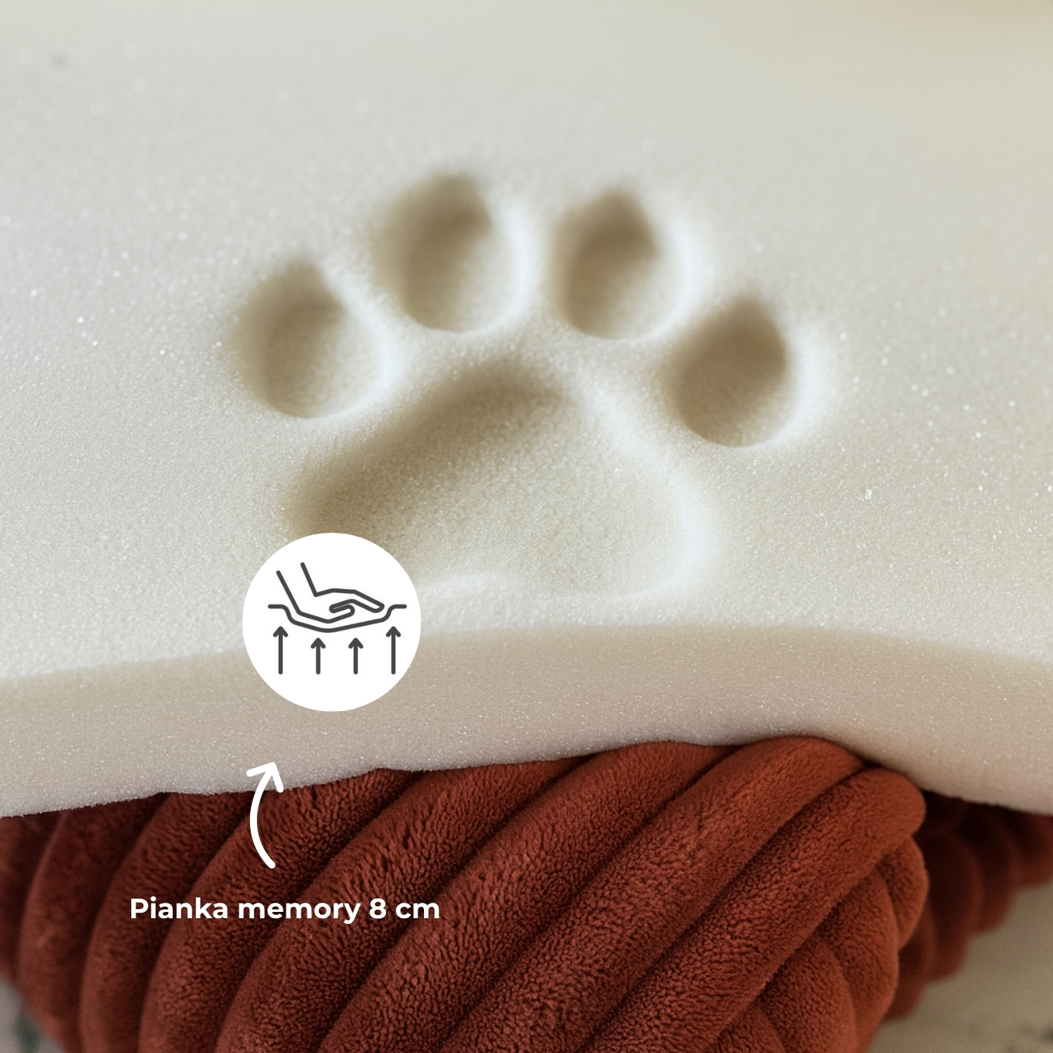 Jak nauczyć psa spania w legowisku i oduczyć spania w łóżku?