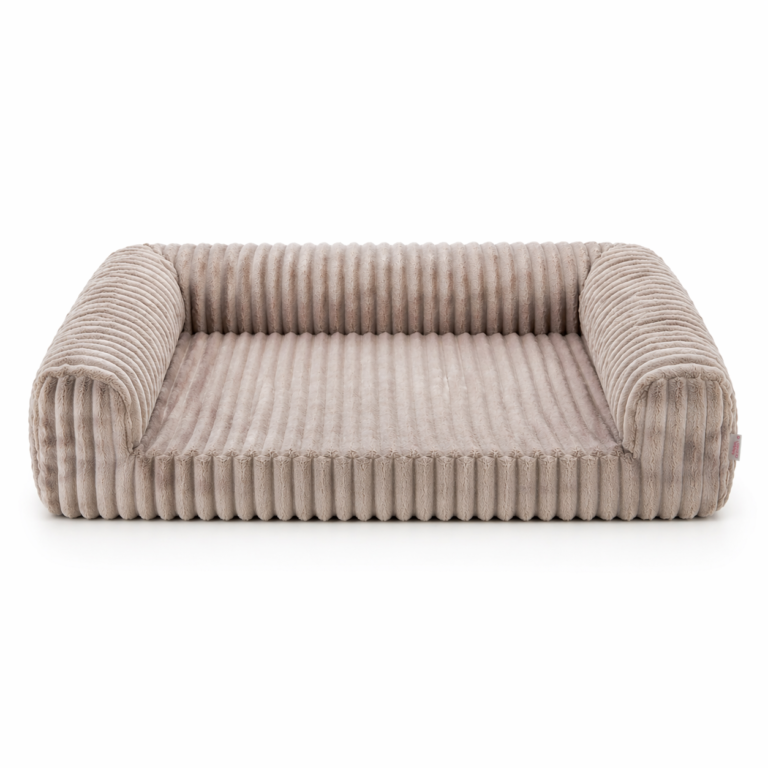 Dlaczego rytuały są tak ważne dla psów i kotów?