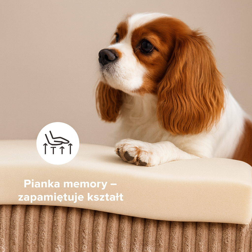 Jak nauczyć psa spania w legowisku i oduczyć spania w łóżku?