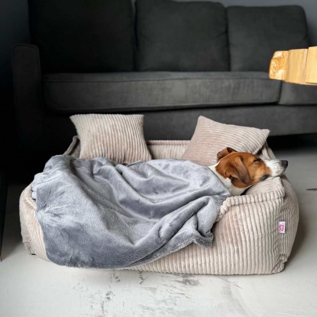 Kocyk do legowiska psa – więcej ciepła, spokoju i bezpieczeństwa