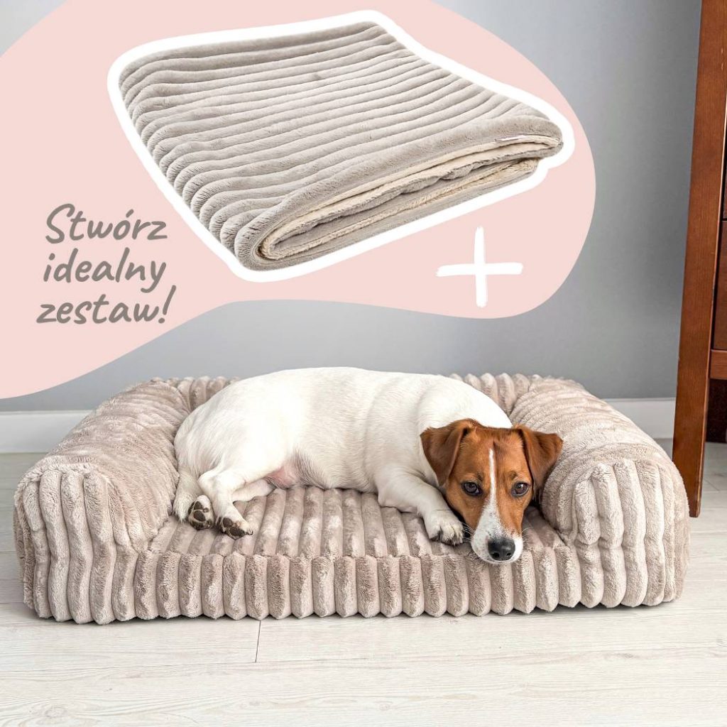 Kocyk do legowiska psa – więcej ciepła, spokoju i bezpieczeństwa