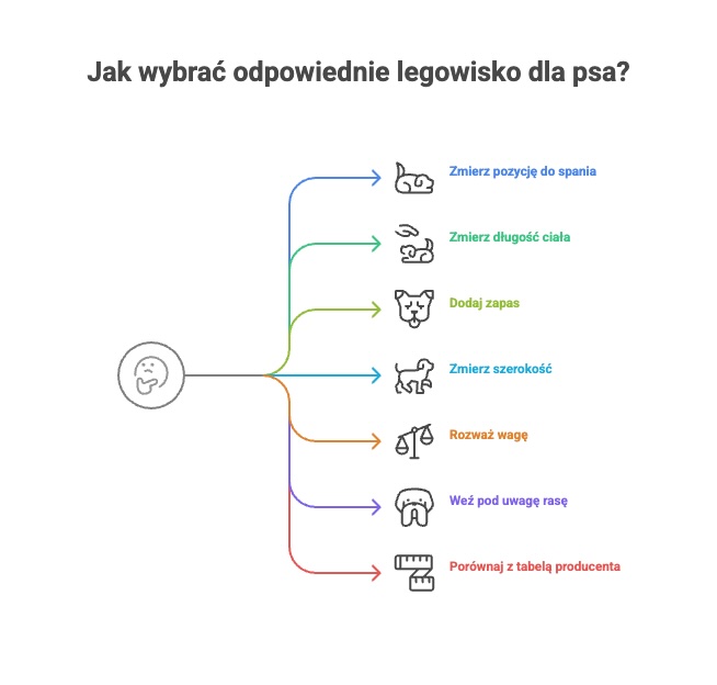 Jak dobrać legowisko dla psa? Sprawdź, czego naprawdę potrzebuje Twój pupil