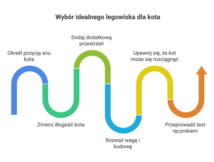 Jakie legowisko dla kota wybrać? Sprawdź praktyczne wskazówki