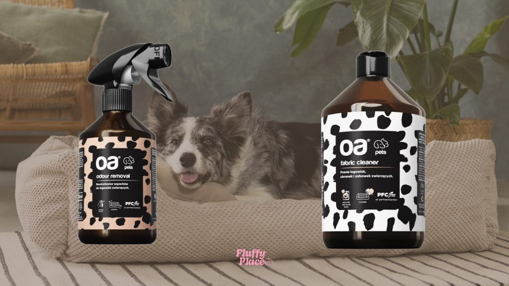 Nowy pies w domu? Sprawdź, co musi mieć w swojej wyprawce