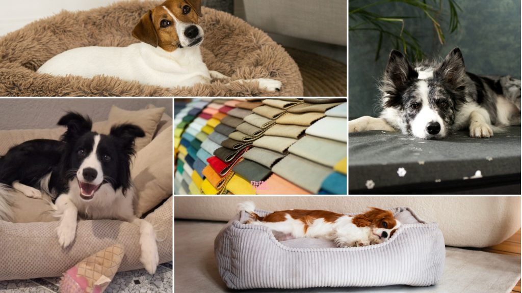 Jaki materiał na legowisko? Wybierz najtrwalszy i zmień sen psa!