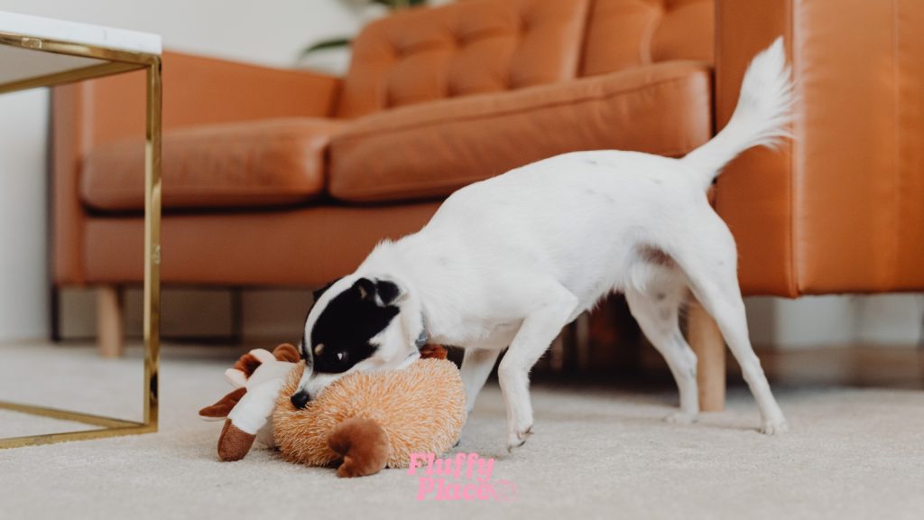 zabawki dla szczeniaka