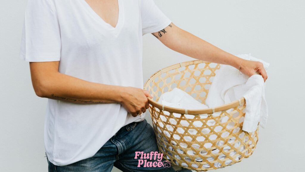 Kiedy pranie legowiska kota to konieczność, a nie fanaberiaJak często prać legowisko kota?