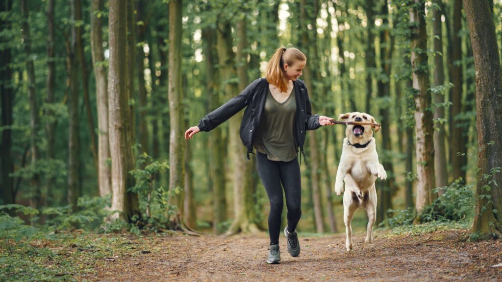 Dlaczego Twój pies źle śpi i jak możesz mu pomóc?