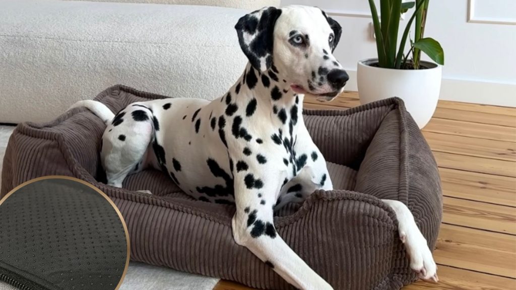 Antypoślizg pod spodem legowiska - dlaczego ma znaczenie dla bezpieczeństwa?