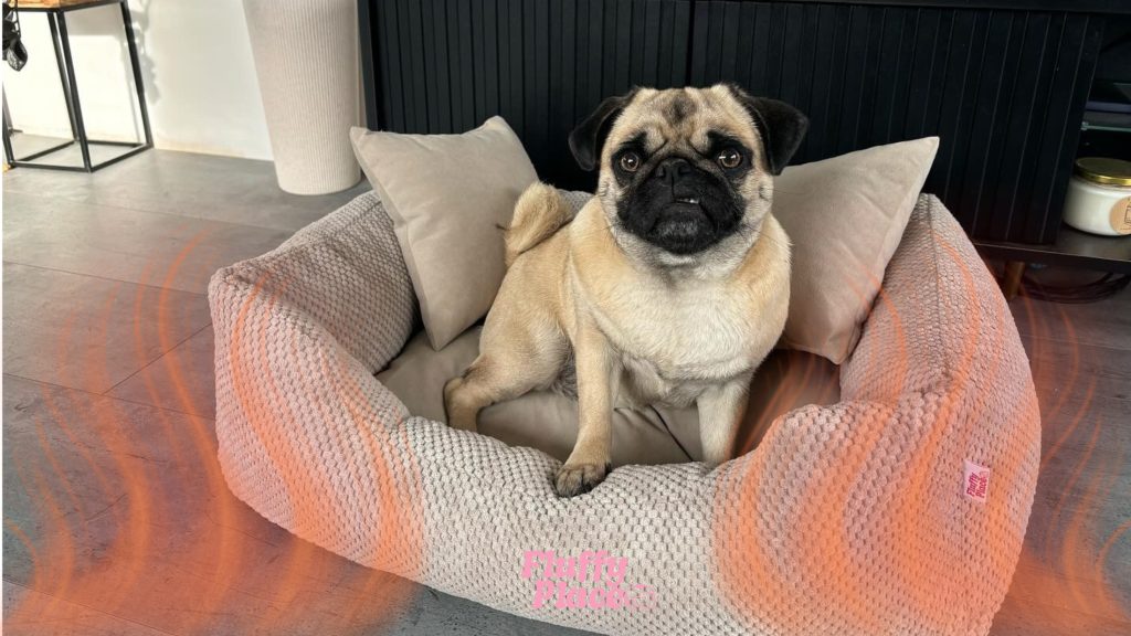 Ogrzewanie podłogowe a pies – komfort czy zagrożenie?