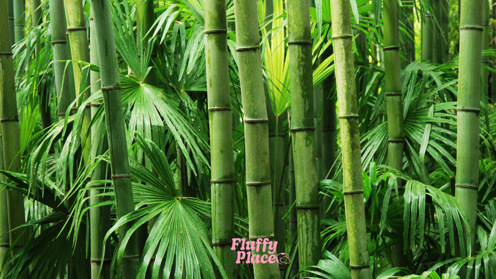 Jak wybrać legowisko dla psa na lato?